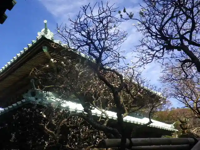 英勝寺の本殿・本堂