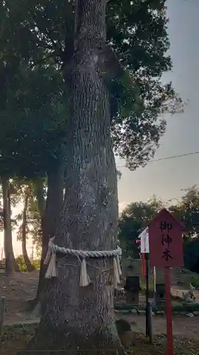 飯福神社の自然