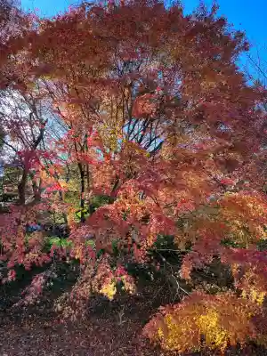 国宝　長寿寺(滋賀県)