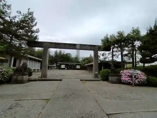 福井神社の鳥居