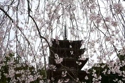 醍醐寺(京都府)