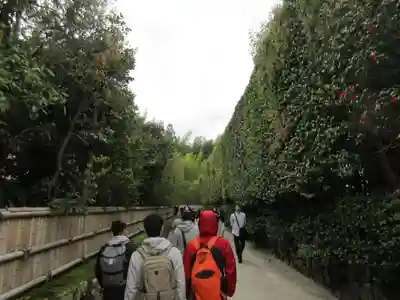 慈照寺（慈照禅寺・銀閣寺）(京都府)