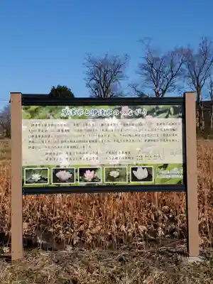 梁川八幡神社(福島県)