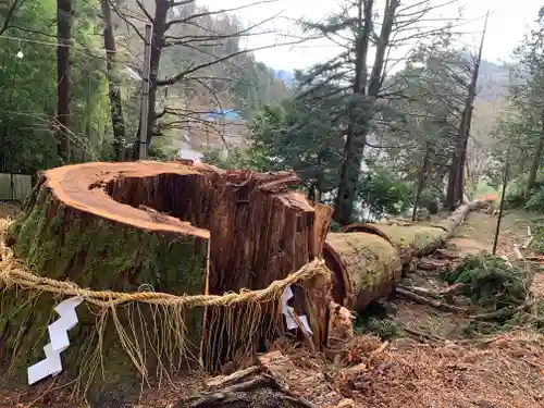 金櫻神社の自然