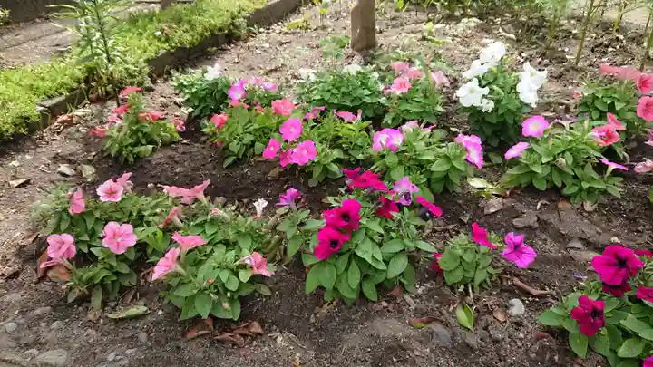 海老坂薬師の自然