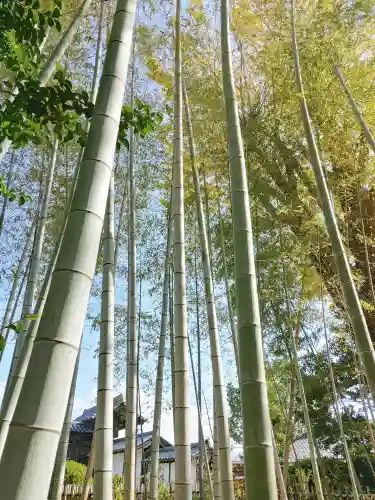 大安寺(奈良県)