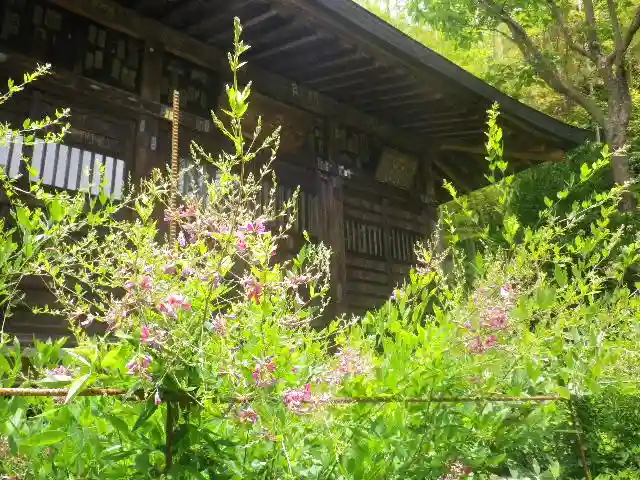 浄光明寺の自然