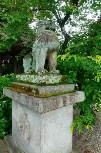 鴨都波神社の狛犬