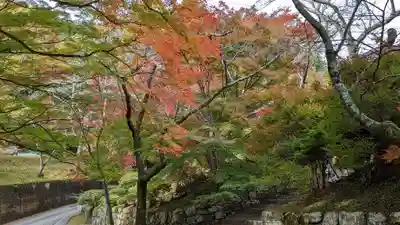 毘沙門堂門跡(京都府)