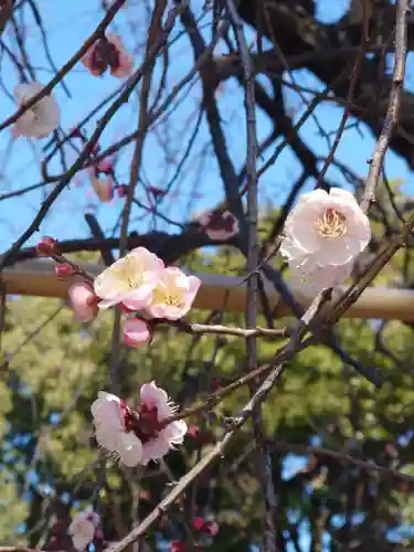 亀ケ池八幡宮(神奈川県)