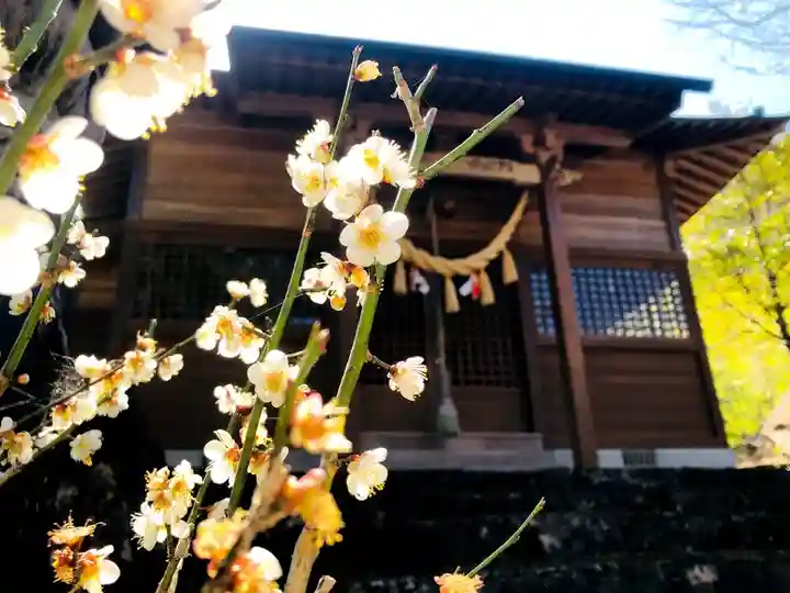 竹原天満宮の自然