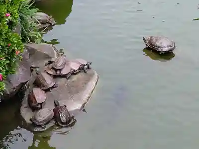 亀戸天神社(東京都)
