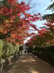 高野山金剛峯寺の建物その他