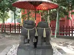 浅草神社の狛犬