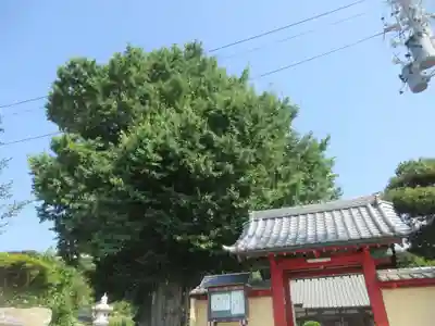 石蔵院(静岡県)