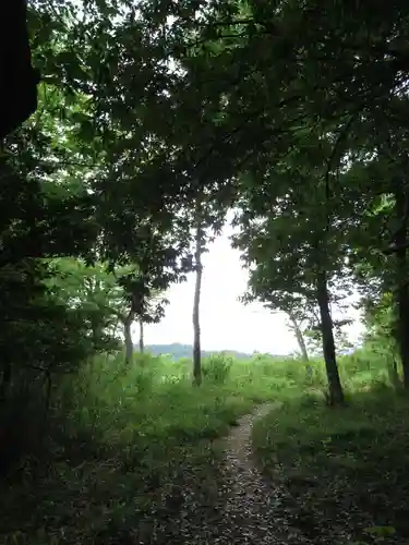 賀茂別雷神社(栃木県)