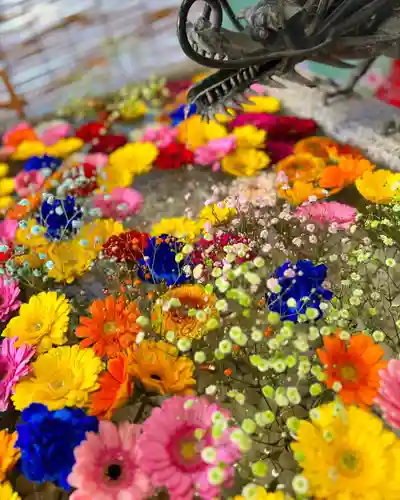 札幌諏訪神社の手水