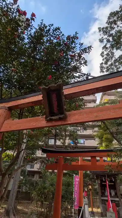 鴨神社(大阪府)