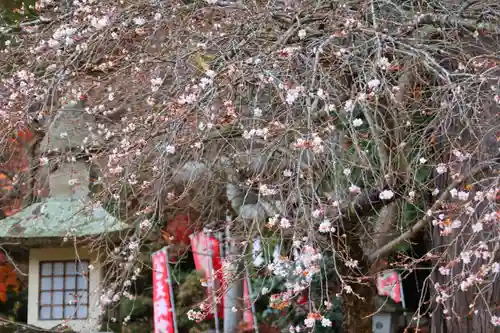 鹿島大神宮(福島県)
