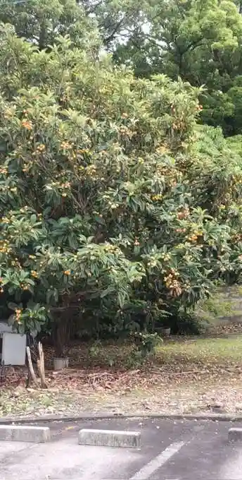 若宮八幡宮(愛知県)