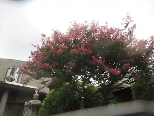 真珠院(東京都)