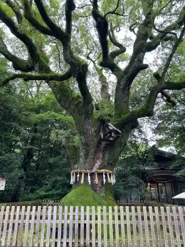 熱田神宮(愛知県)
