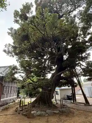 九重神社(埼玉県)