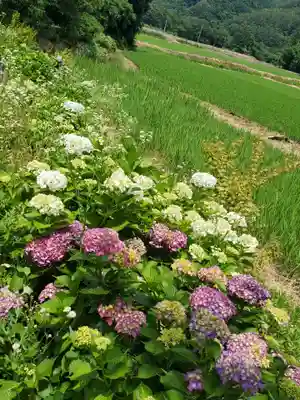高司神社〜むすびの神の鎮まる社〜(福島県)