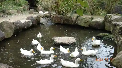 楽法寺（雨引観音）の庭園