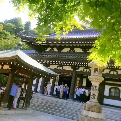 長谷寺の本殿・本堂