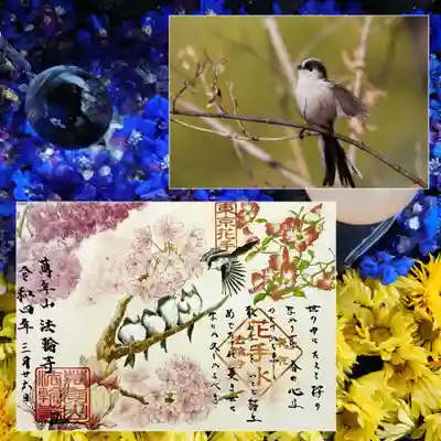 4月の御朱印②は和歌の御朱印。
『散ればこそ　いとど桜はめでたけれ　憂世に何か　久しがるべき』。
春の穏やかな雰囲気をイメージされたそうで、登場する野鳥はエナガ。
右上の写真は以前に私が撮影したエナガです。
