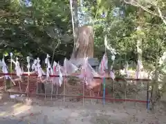 龍尾神社の建物その他