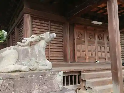 春日神社の狛犬