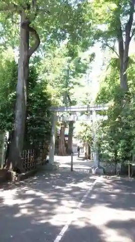 荻窪八幡神社の鳥居