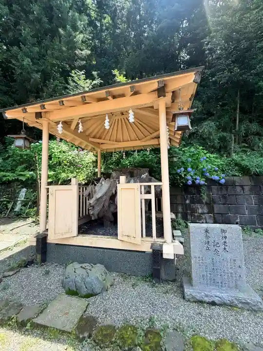 穴澤天神社(東京都)