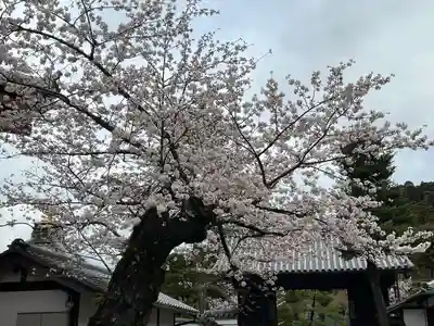 清水寺(京都府)