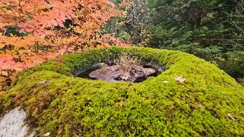 実光院(京都府)