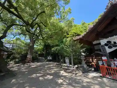 御袖天満宮の{uncategorized: "未分類", other: "その他", undefined: "問題あり", building: "その他建物", grave: "お墓", sacred_gate: "鳥居", guardian: "狛犬", statue: "像", buddha: "仏像", history: "歴史", nature: "自然", garden: "庭園", animal: "動物", pagoda: "塔", temizu: "手水舎", mountain_gate: "山門・神門", sanctuary: "本殿・本堂", subordinate: "末社・摂社", art: "芸術", scenery: "景色", jizo: "地蔵", ema: "絵馬", goshuin: "御朱印", omikuji: "おみくじ", items: "授与品その他", amulet: "お守り", goshuincho: "御朱印帳", eats: "食事", festival: "お祭り", votive_dance: "神楽", shichigosan: "七五三参", wedding: "結婚式", experience: "体験その他", initially: "初詣", around: "周辺", anti_infection: "感染症対策"}