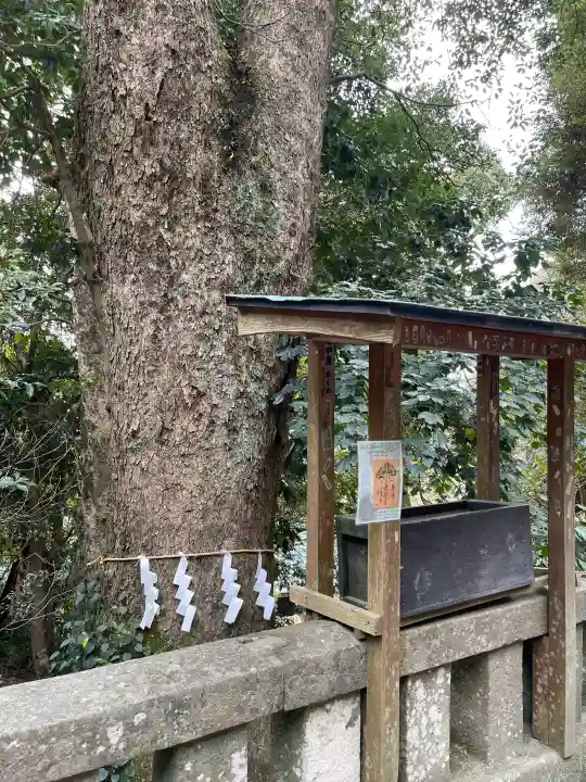 久能山東照宮の{uncategorized: "未分類", other: "その他", undefined: "問題あり", building: "その他建物", grave: "お墓", sacred_gate: "鳥居", guardian: "狛犬", statue: "像", buddha: "仏像", history: "歴史", nature: "自然", garden: "庭園", animal: "動物", pagoda: "塔", temizu: "手水舎", mountain_gate: "山門・神門", sanctuary: "本殿・本堂", subordinate: "末社・摂社", art: "芸術", scenery: "景色", jizo: "地蔵", ema: "絵馬", goshuin: "御朱印", omikuji: "おみくじ", items: "授与品その他", amulet: "お守り", goshuincho: "御朱印帳", eats: "食事", festival: "お祭り", votive_dance: "神楽", shichigosan: "七五三参", wedding: "結婚式", experience: "体験その他", initially: "初詣", around: "周辺", anti_infection: "感染症対策"}
