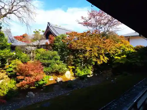 相国寺（相国承天禅寺）の庭園