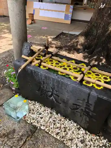 上目黒氷川神社の手水舎