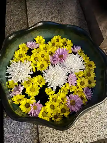 普賢寺(東京都)