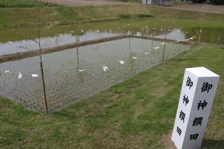 高屋敷稲荷神社のお祭り