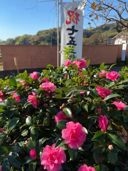 比々多神社の自然