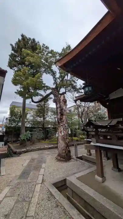 大将軍八神社(京都府)