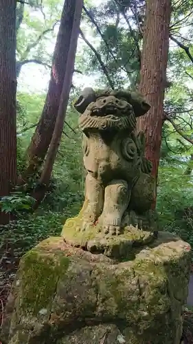 白山比咩神社の狛犬