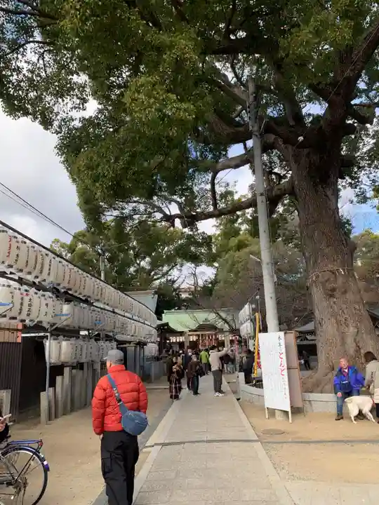 阿麻美許曽神社(大阪府)