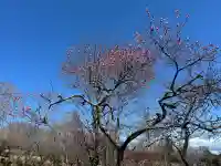 志波彦神社・鹽竈神社の{uncategorized: "未分類", other: "その他", undefined: "問題あり", building: "その他建物", grave: "お墓", sacred_gate: "鳥居", guardian: "狛犬", statue: "像", buddha: "仏像", history: "歴史", nature: "自然", garden: "庭園", animal: "動物", pagoda: "塔", temizu: "手水舎", mountain_gate: "山門・神門", sanctuary: "本殿・本堂", subordinate: "末社・摂社", art: "芸術", scenery: "景色", jizo: "地蔵", ema: "絵馬", goshuin: "御朱印", omikuji: "おみくじ", items: "授与品その他", amulet: "お守り", goshuincho: "御朱印帳", eats: "食事", festival: "お祭り", votive_dance: "神楽", shichigosan: "七五三参", wedding: "結婚式", experience: "体験その他", initially: "初詣", around: "周辺", anti_infection: "感染症対策"}