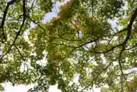 大歳神社(山口県)