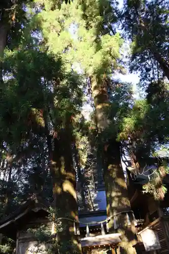 高千穂神社(宮崎県)